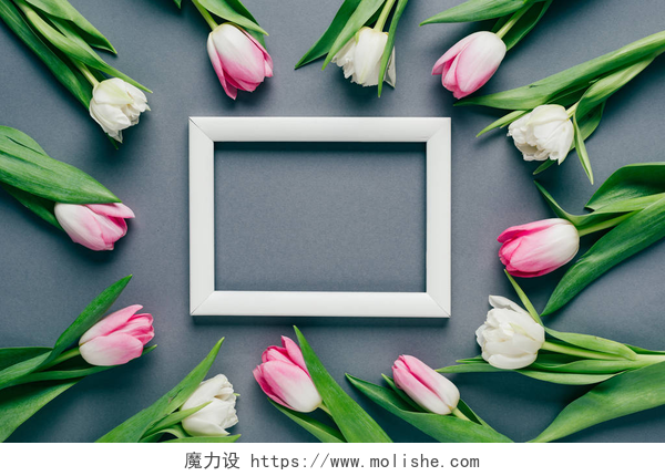 白色相框周围的郁金香花束灰色表面白色框架周围郁金香的顶视图